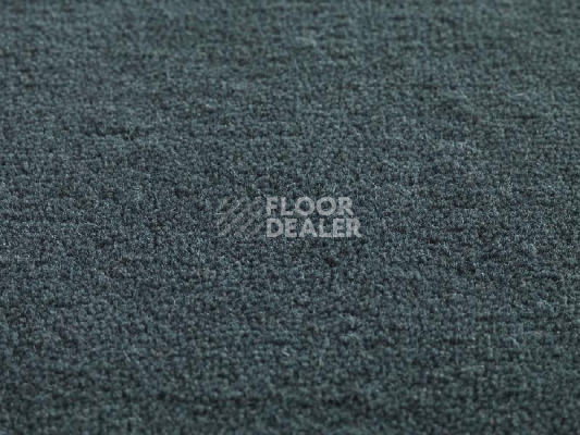 Ковролин Jacaranda Carpets Heavy Velvet Woad фото 1 | FLOORDEALER