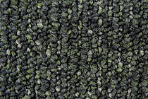 Desso Recharge ac 41 7952 фото 3 | FLOORDEALER