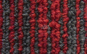 Balsan Trust 570 фото 3 | FLOORDEALER