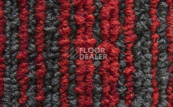 Balsan Trust 570 фото 3 | FLOORDEALER
