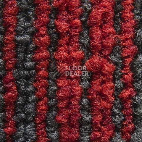 Balsan Trust 570 фото 3 | FLOORDEALER