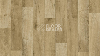 Линолеум Tarkett Philosophy Gea 5 фото 1 | FLOORDEALER