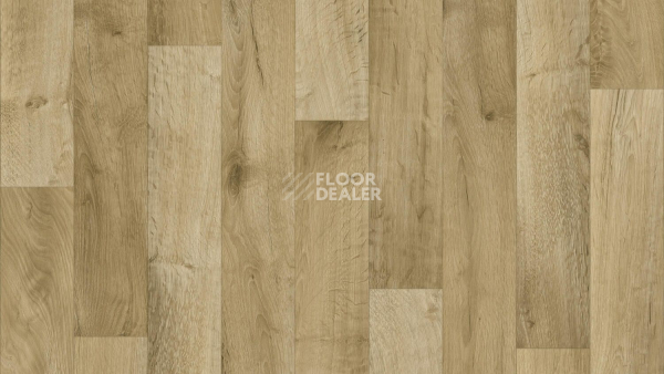 Линолеум Tarkett Philosophy Gea 5 фото 1 | FLOORDEALER