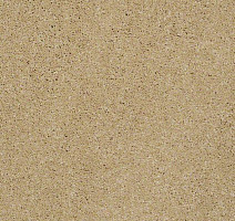 Ковролин Shaw Design Texture Platinum 211 фото 1 | FLOORDEALER