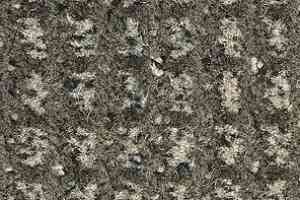 Ковролин Balsan Littoral Littoral 780 фото  | FLOORDEALER