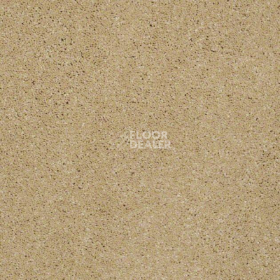 Ковролин Shaw Design Texture Platinum 211 фото 1 | FLOORDEALER
