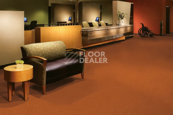 Vertigo Dot 1620 150 фото 2 | FLOORDEALER
