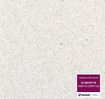 Линолеум Tarkett iq Granit Sd 3096 710 (3097 710) фото 1 | FLOORDEALER
