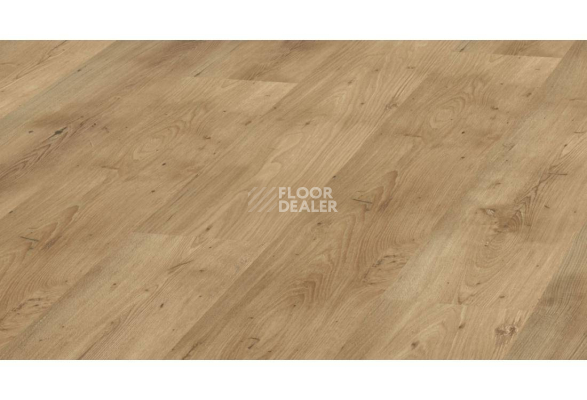 Ламинат Kronopol Aurum Vision d3344 Кедр Ливанский фото 1 | FLOORDEALER