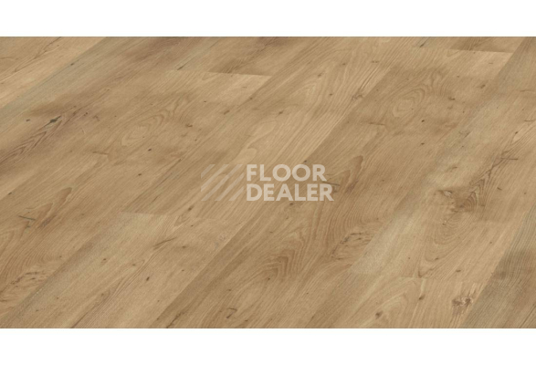 Ламинат Kronopol Aurum Vision d3344 Кедр Ливанский фото 1 | FLOORDEALER