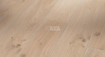 Ламинат Parador Classic 1050 4V 1601450 Дуб Традиция Отбеленный фото 1 | FLOORDEALER