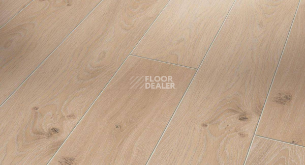 Ламинат Parador Classic 1050 4V 1601450 Дуб Традиция Отбеленный фото 1 | FLOORDEALER