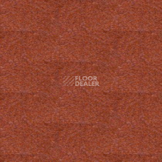 Ковролин Tapibel Spirit 8893 фото 1 | FLOORDEALER