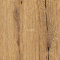 Parador Basic Plus 400 1744348 Дуб Chronicle Basic фото 2 | FLOORDEALER