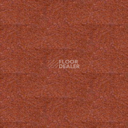 Ковролин Tapibel Spirit 8893 фото 1 | FLOORDEALER