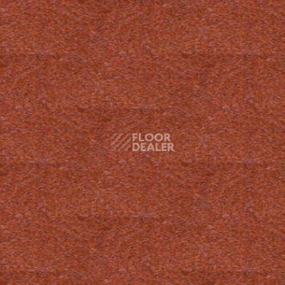 Ковролин Tapibel Spirit 8893 фото 1 | FLOORDEALER