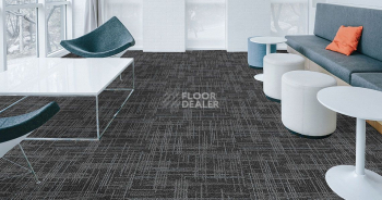 Casini Casini 579 фото 2 | FLOORDEALER