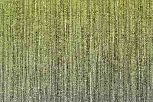 Ковровая плитка Milliken Culture Canvas hst 62_174-108 l фото  | FLOORDEALER