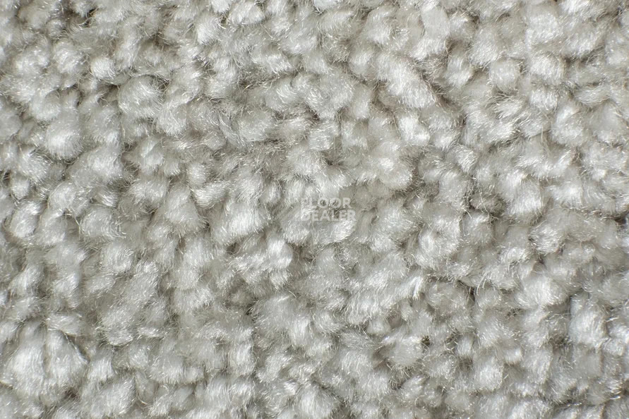 AW Masquerade Costanza 36 фото 3 | FLOORDEALER