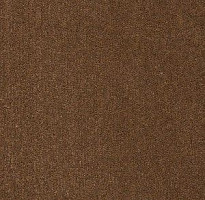 Ковролин Big Majesty 772 фото 1 | FLOORDEALER