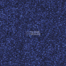 Ковролин Balsan First Class 180 фото 1 | FLOORDEALER