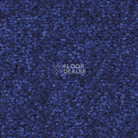 Ковролин Balsan First Class 180 фото 1 | FLOORDEALER