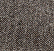 Ковролин Carpet Concept Goi 1 2807 фото 1 | FLOORDEALER