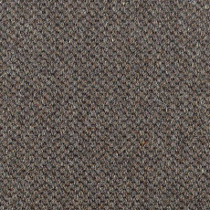 Ковролин Carpet Concept Goi 1 2807 фото 1 | FLOORDEALER