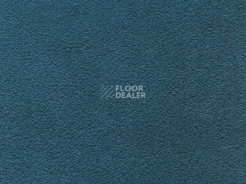 Ковролин In-Tense 72 фото 1 | FLOORDEALER