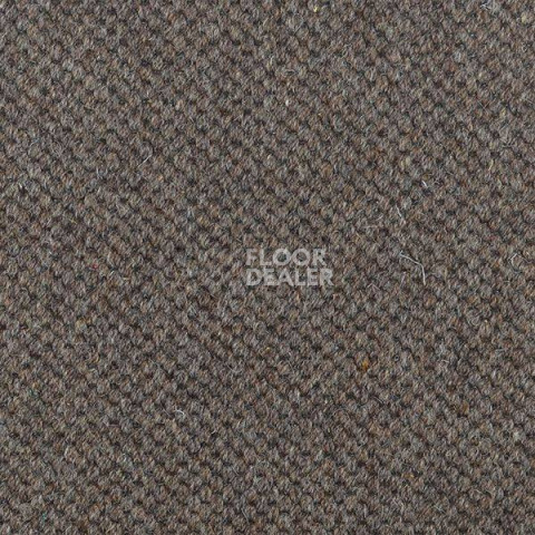 Ковролин Carpet Concept Goi 1 2807 фото 1 | FLOORDEALER