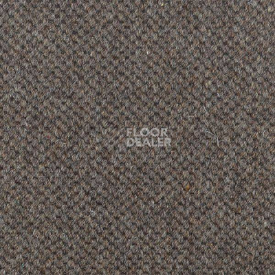 Ковролин Carpet Concept Goi 1 2807 фото 1 | FLOORDEALER