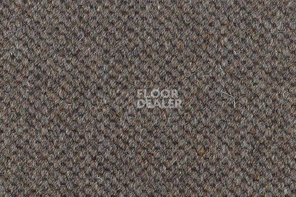 Ковролин Carpet Concept Goi 1 2807 фото 1 | FLOORDEALER