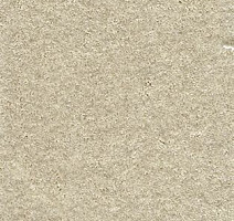 Ковролин AW Sensation 35 фото 1 | FLOORDEALER