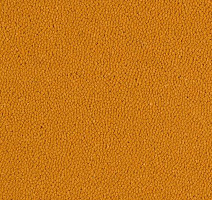 Ковровая плитка Westbond Ibond Natural 9226 фото 1 | FLOORDEALER