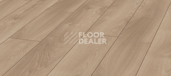 Ламинат Kronotex Mammut Plus d4752 Дуб Светлый Марко фото 1 | FLOORDEALER