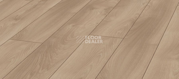 Ламинат Kronotex Mammut Plus d4752 Дуб Светлый Марко фото 1 | FLOORDEALER