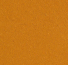 Ковровая плитка Westbond Ibond Natural 9226 фото 1 | FLOORDEALER