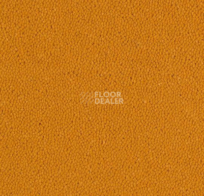 Ковровая плитка Westbond Ibond Natural 9226 фото 1 | FLOORDEALER