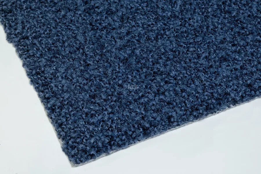 Vorwerk Exclusive1009/Elara 3l75 фото 5 | FLOORDEALER