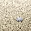 Ковролин Vorwerk Superior 1065/Viola Vorwerk 8h52  | FLOORDEALER