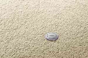 Ковролин Vorwerk Superior 1065/Viola Vorwerk 8h52 фото  | FLOORDEALER