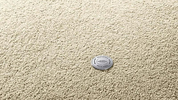 Ковролин Vorwerk Superior 1065/Viola Vorwerk 8h52 фото 1 | FLOORDEALER