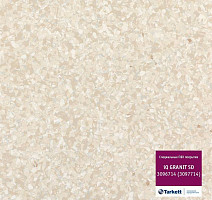 Линолеум Tarkett iq Granit Sd 3096 714 (3097 714) фото 1 | FLOORDEALER