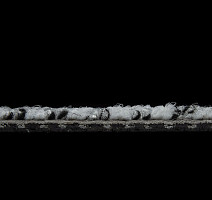 Balsan Take a Walk 910 Take a Walk фото 5 | FLOORDEALER