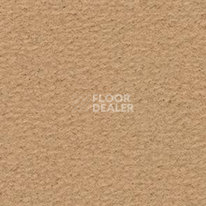 Ковролин Balsan Altitude Altitude 340 фото 1 | FLOORDEALER