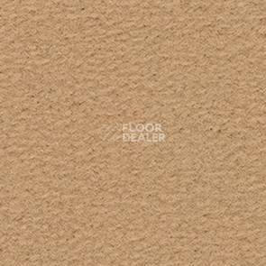 Ковролин Balsan Altitude Altitude 340 фото 1 | FLOORDEALER