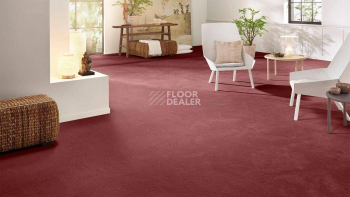 Vorwerk Superior 1069/Hermelin Vorwerk 1n86 фото 2 | FLOORDEALER