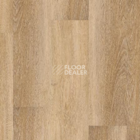 Кварцвиниловые полы Tarkett Rockstars VIKTOR фото 1 | FLOORDEALER
