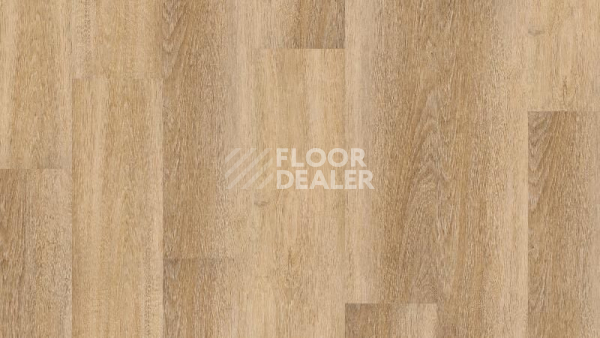 Кварцвиниловые полы Tarkett Rockstars VIKTOR фото 1 | FLOORDEALER