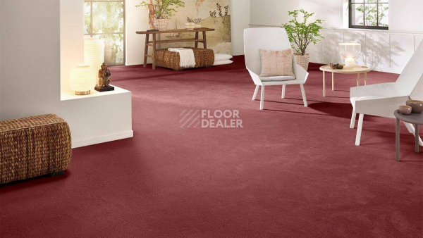 Vorwerk Superior 1069/Hermelin Vorwerk 1n86 фото 2 | FLOORDEALER